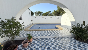 Resa estates ibiza for sale te koop villa huis zwembad san jose arch pool.jpeg